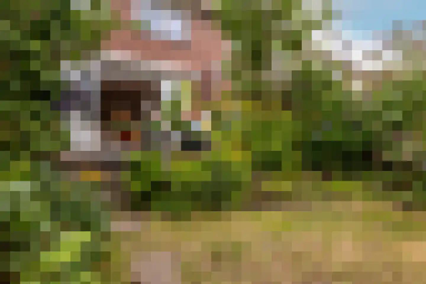 De Twijnen 3 Moordrecht thumbnail 37