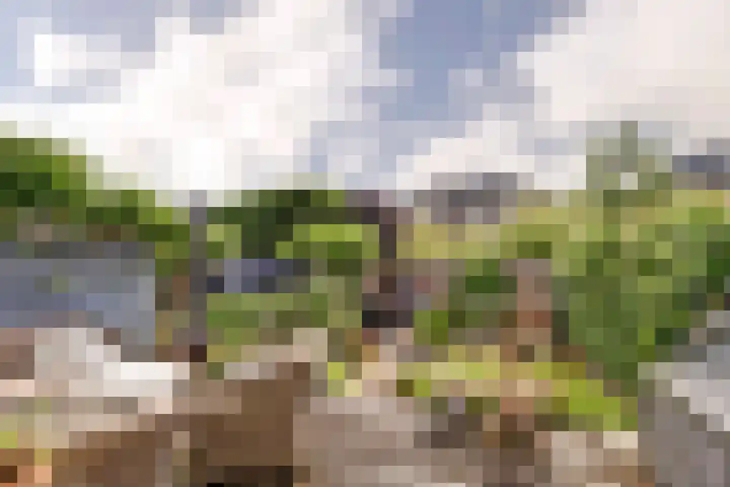 De Twijnen 9 Moordrecht thumbnail 32