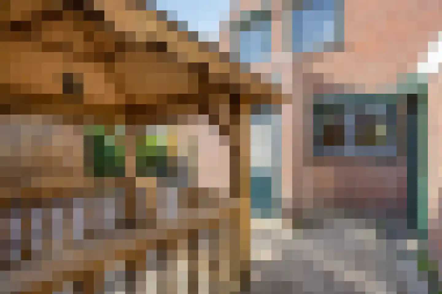 de Uilenboom 44 A Wijchen thumbnail 23