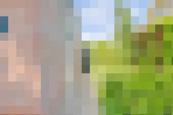 de Uilenburg 38 Ewijk thumbnail 47