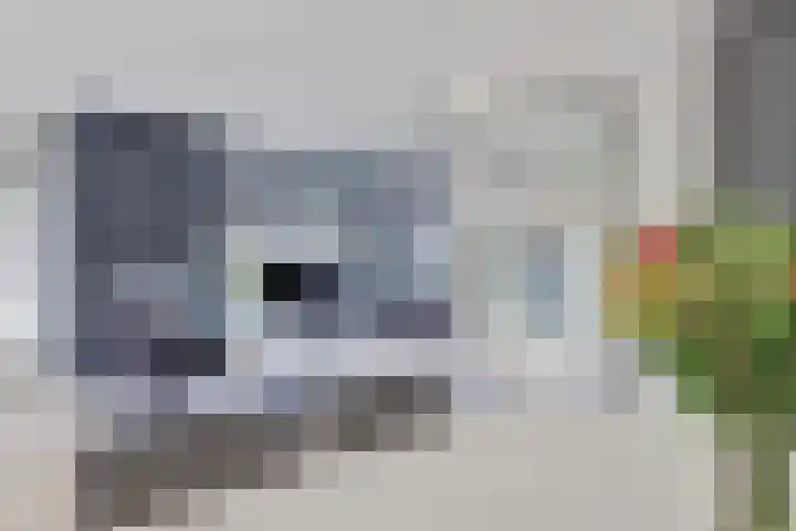de Uilenburg 38 Ewijk thumbnail 8