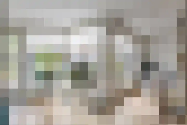 De Uilenburg 6 Veldhoven thumbnail 14