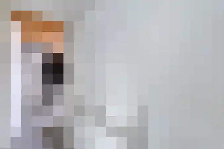 De Uilenburg 6 Veldhoven thumbnail 20
