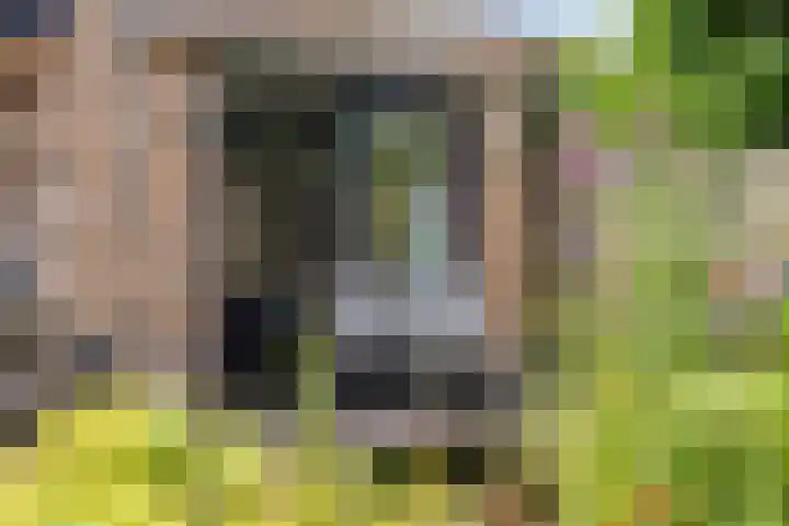De Uilenburg 6 Veldhoven thumbnail 30