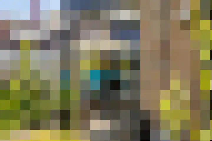 De Uilenburg 6 Veldhoven thumbnail 31