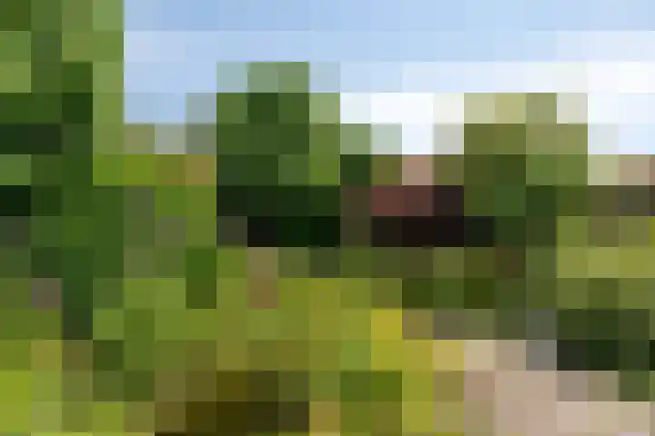 De Uilenburg 6 Veldhoven thumbnail 32