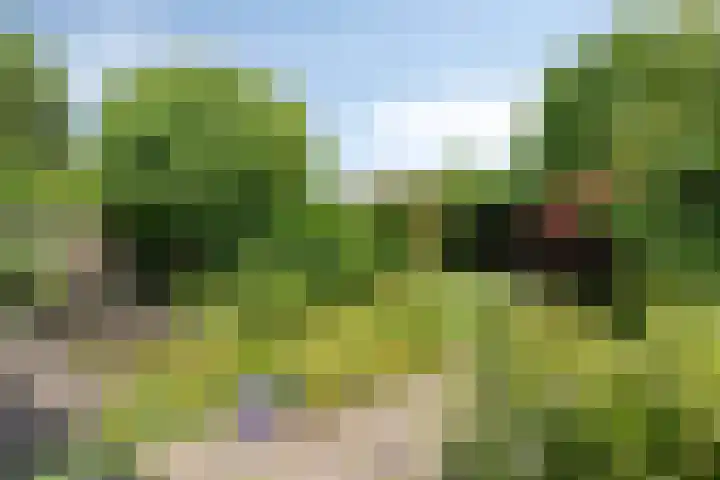 De Uilenburg 6 Veldhoven thumbnail 33