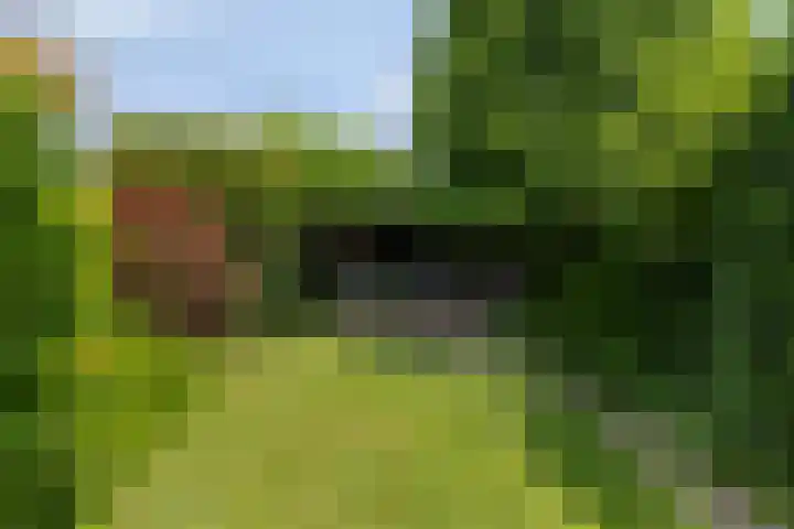 De Uilenburg 6 Veldhoven thumbnail 35