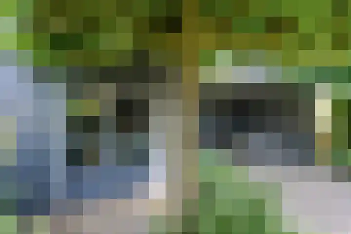 De Uilenburg 6 Veldhoven thumbnail 37