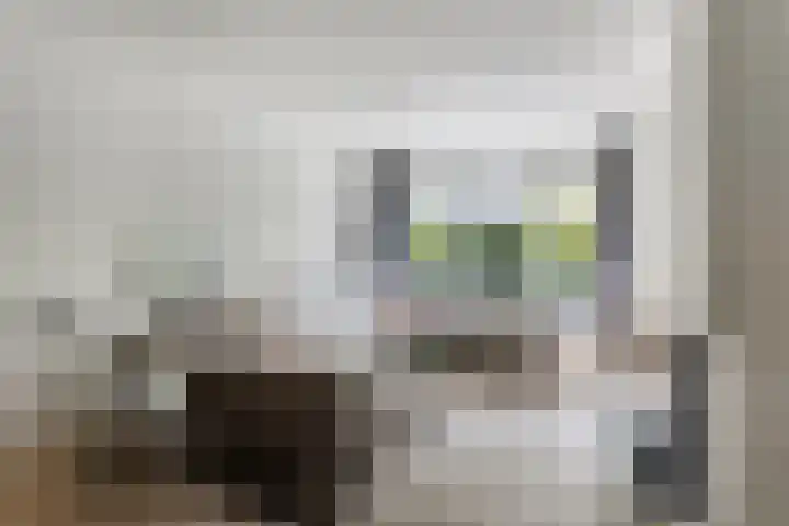 De Uilenburg 6 Veldhoven thumbnail 6