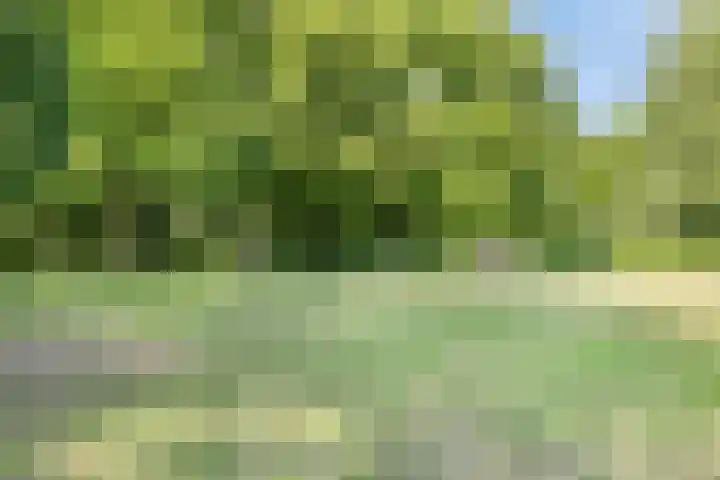 De Uilenburg 76 Veldhoven thumbnail 38