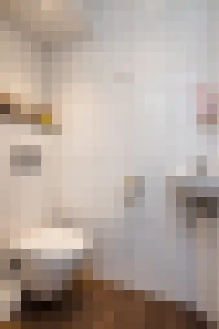 De Uithof 19 Sint Geertruid thumbnail 14