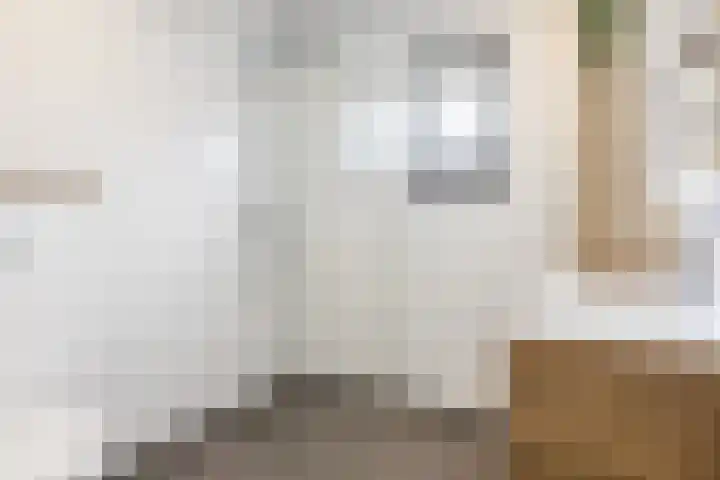 De Uithof 19 Sint Geertruid thumbnail 15