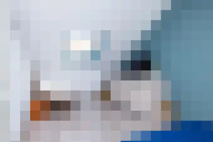 De Uithof 19 Sint Geertruid thumbnail 21
