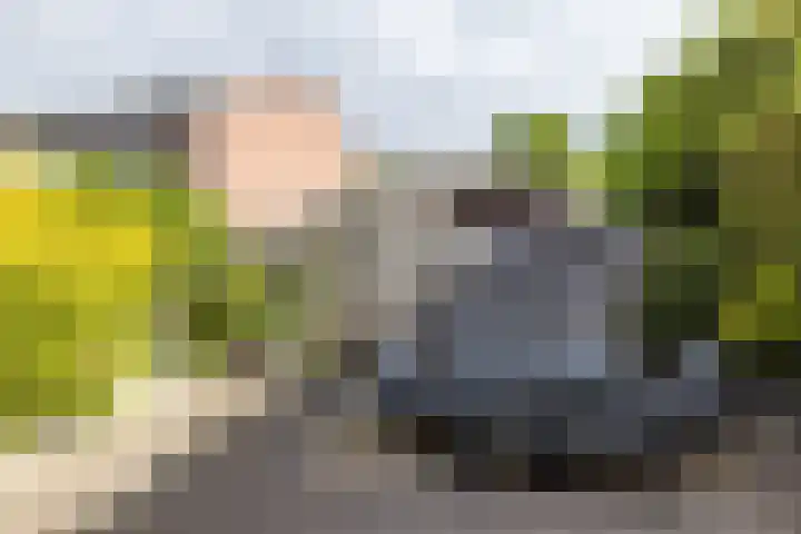 De Uithof 19 Sint Geertruid thumbnail 23