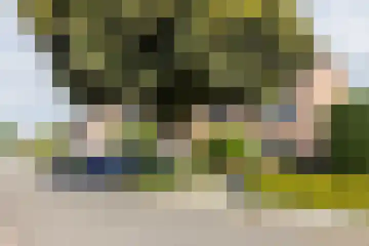 De Uithof 19 Sint Geertruid thumbnail 26