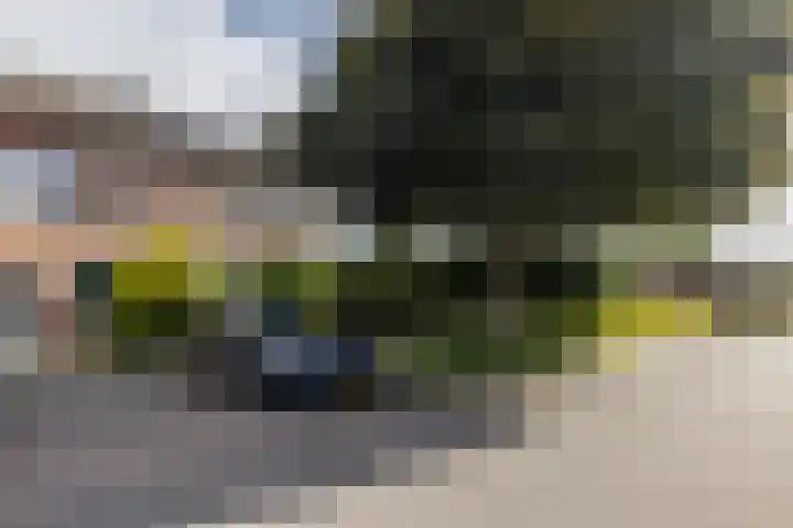 De Uithof 19 Sint Geertruid thumbnail 27
