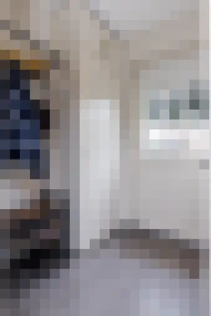 De Uithof 19 Sint Geertruid thumbnail 5