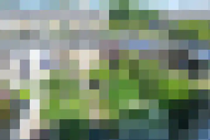 De Uitkijklaan 9 IJmuiden thumbnail 29