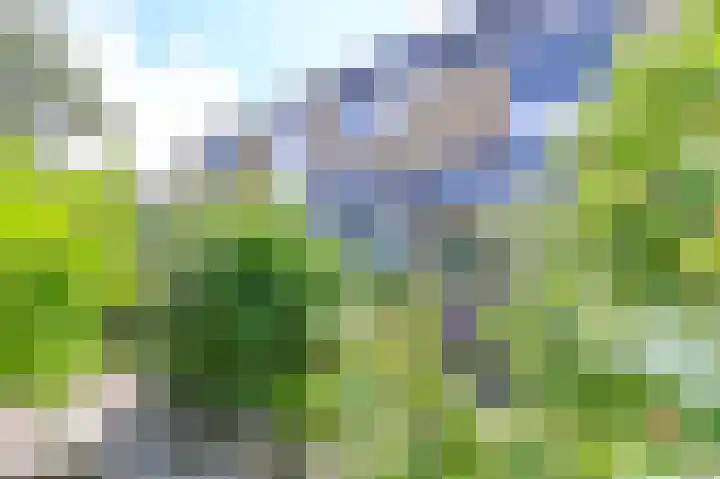 De Uitkijklaan 9 IJmuiden thumbnail 35