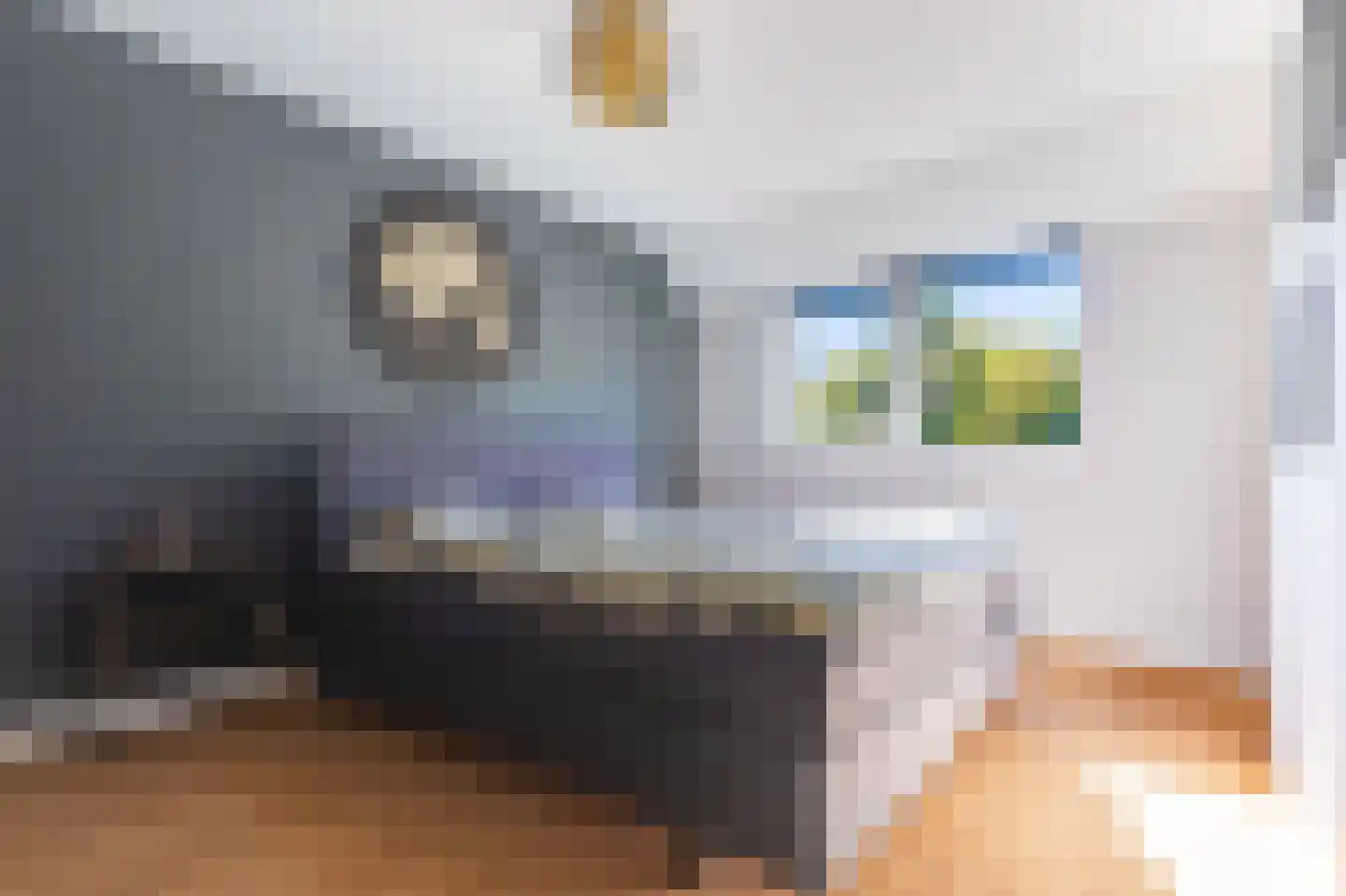De Uitspanning 19 Blokker thumbnail 37