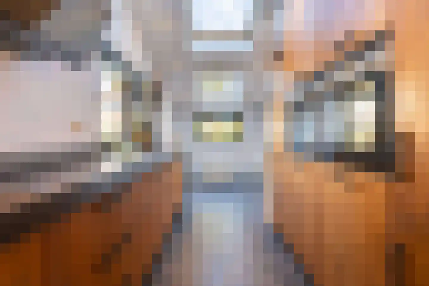 De Uitspanning 19 Blokker thumbnail 4