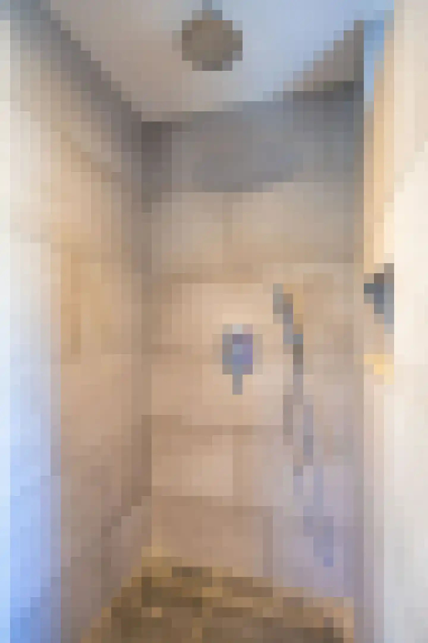 De Uitspanning 19 Blokker thumbnail 44