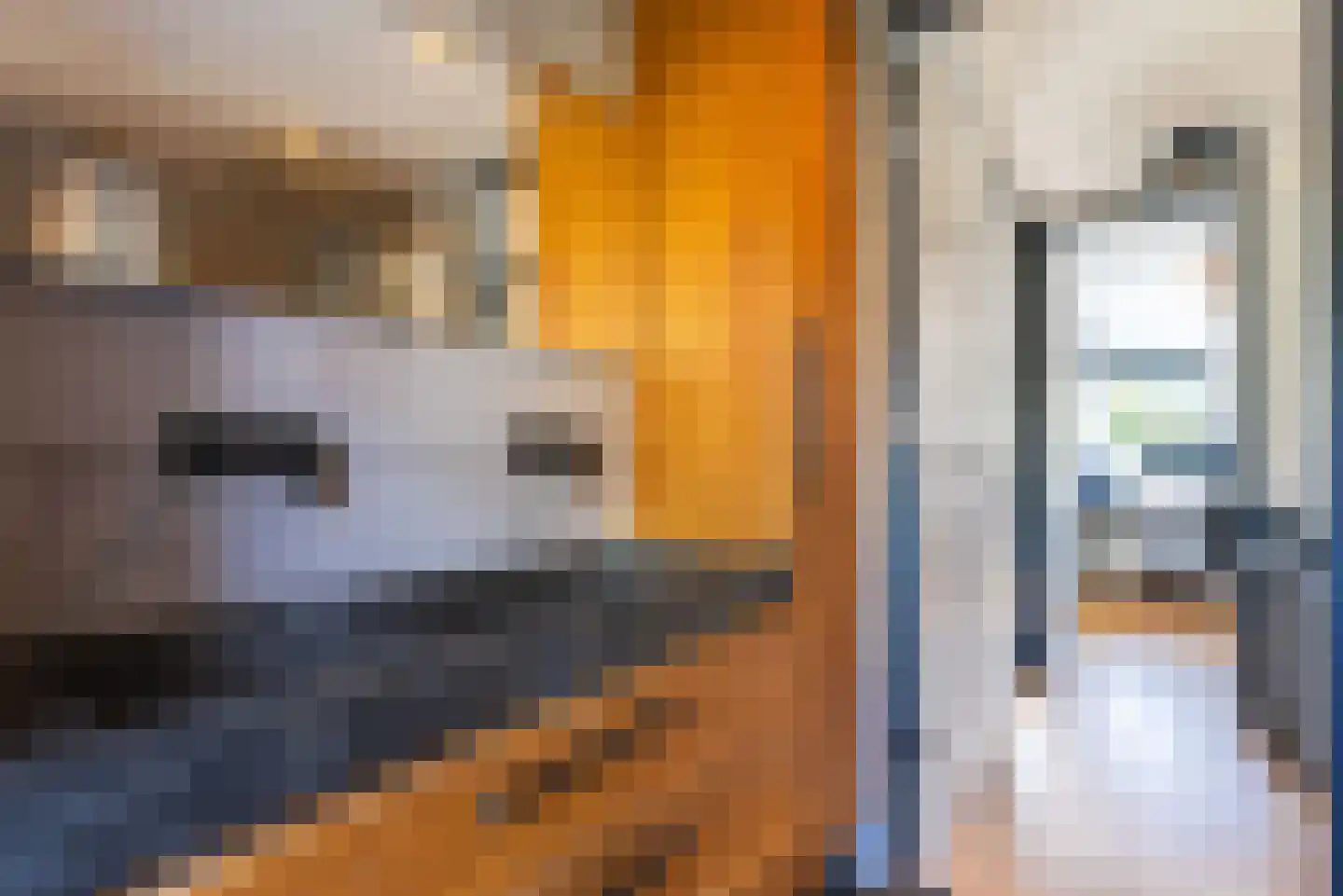 De Uitspanning 19 Blokker thumbnail 45