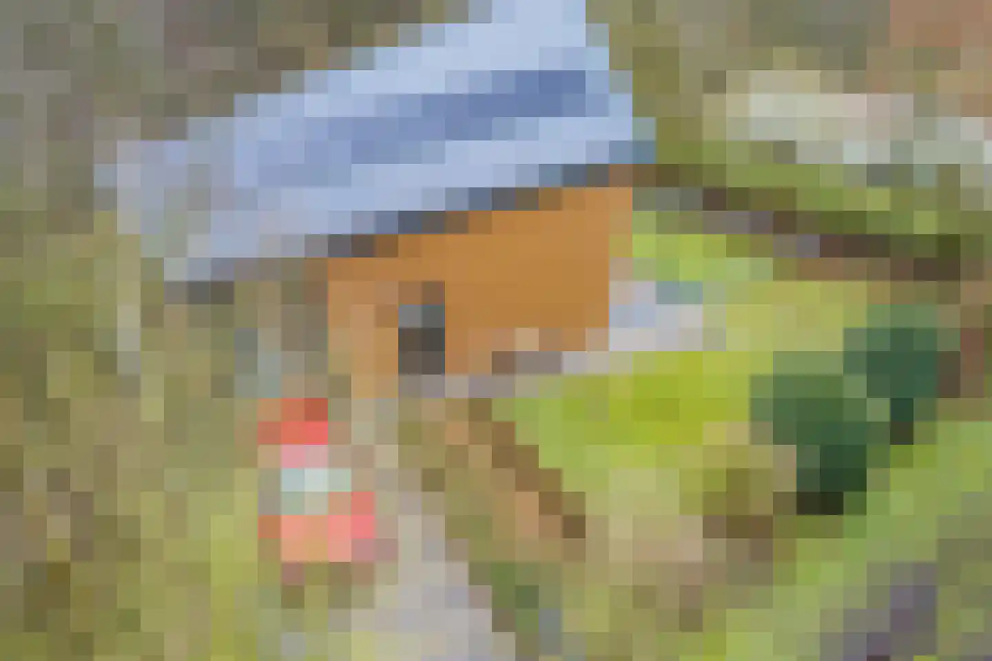 De Uitspanning 21 Blokker thumbnail 15