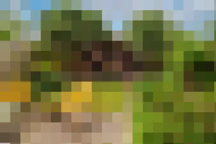 De Uitspanning 21 Blokker thumbnail 31