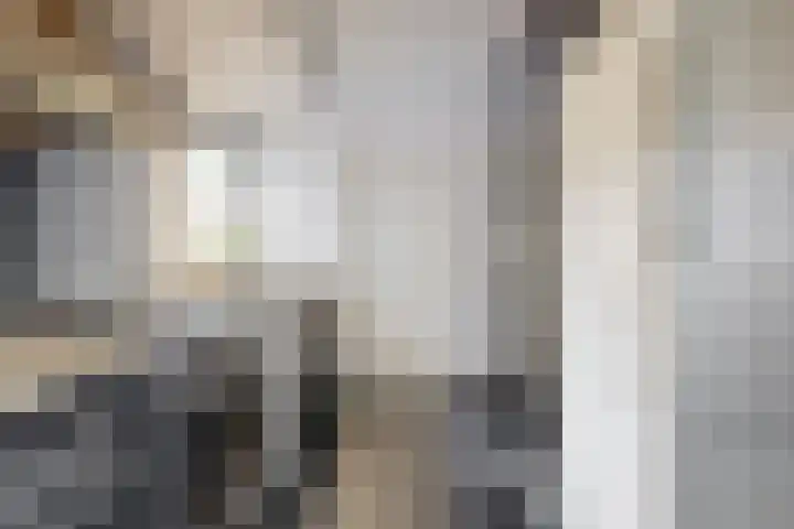 De Uitspanning 21 Blokker thumbnail 9