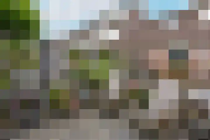 De Uitspanning 27 Blokker thumbnail 36