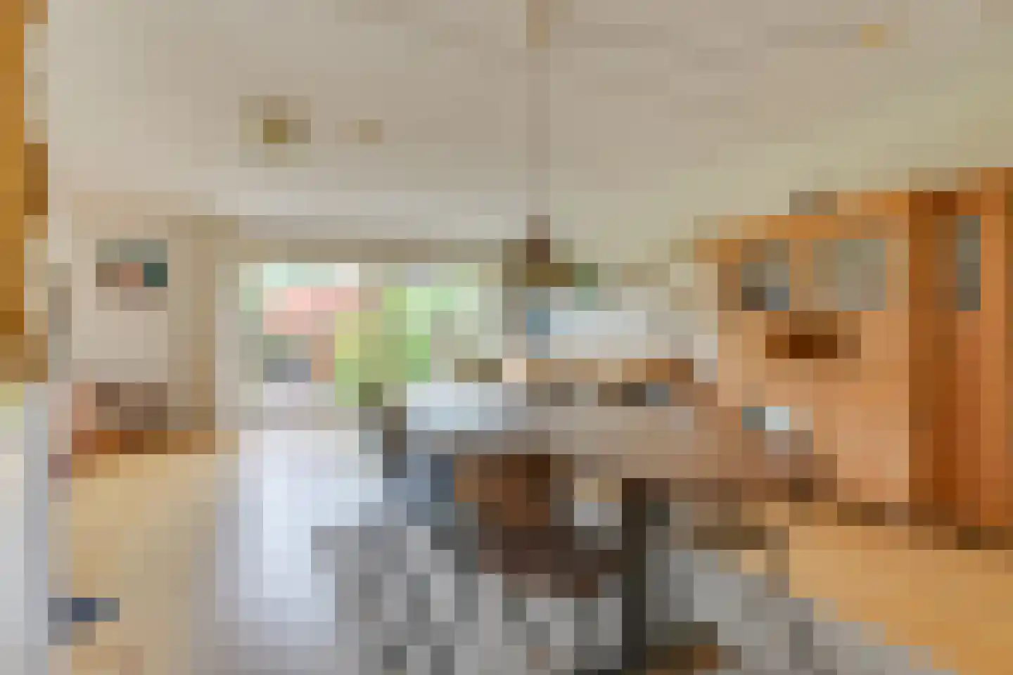 De Uitspanning 48 Blokker thumbnail 12