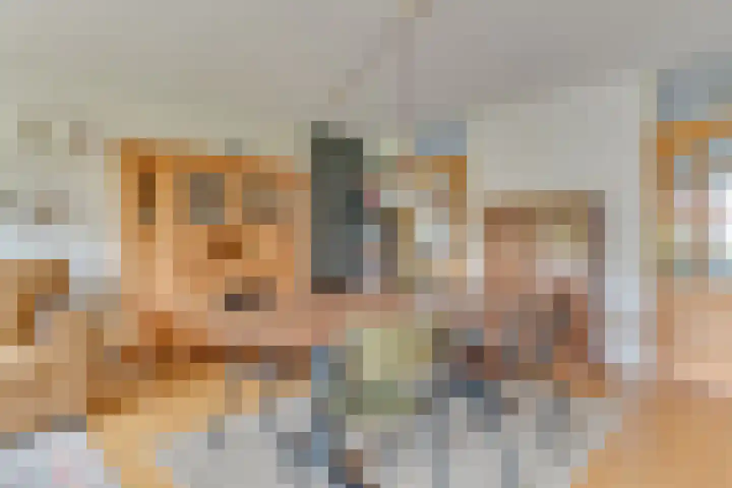 De Uitspanning 48 Blokker thumbnail 17
