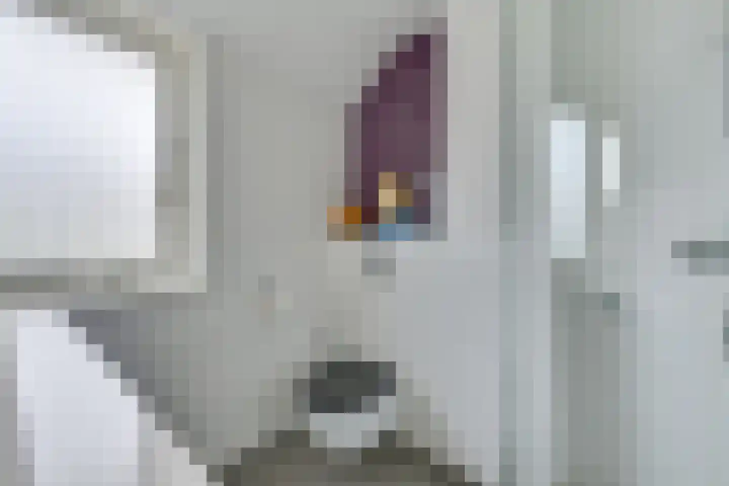 De Uitspanning 48 Blokker thumbnail 29
