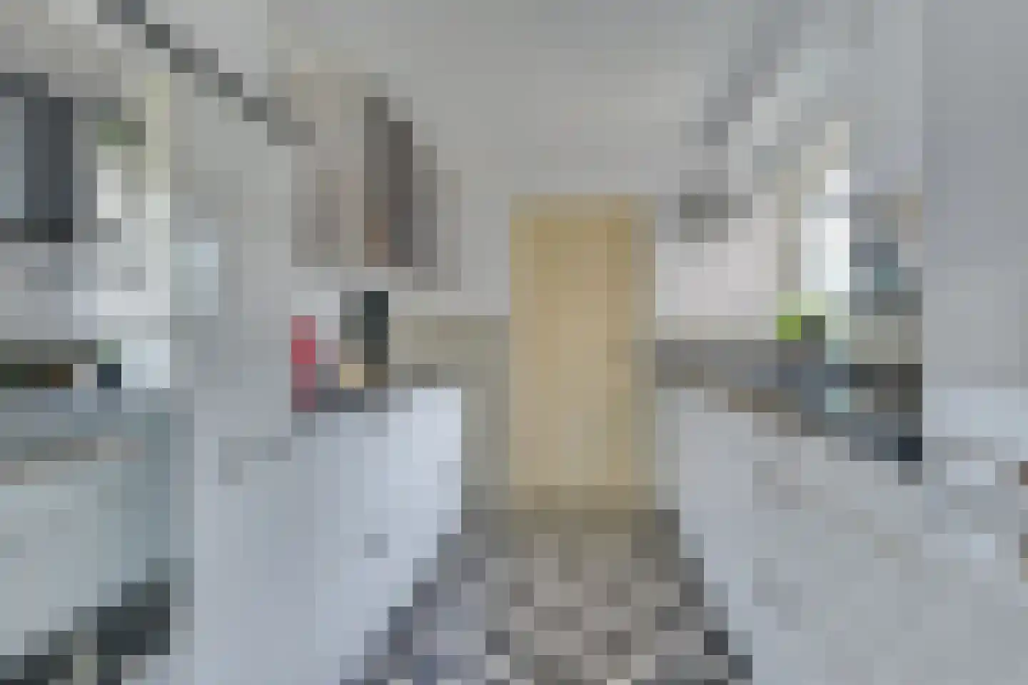 De Uitspanning 48 Blokker foto 3