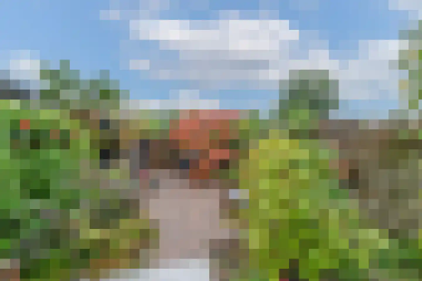 De Uitspanning 48 Blokker thumbnail 39