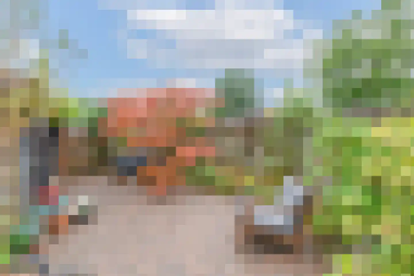 De Uitspanning 48 Blokker thumbnail 40