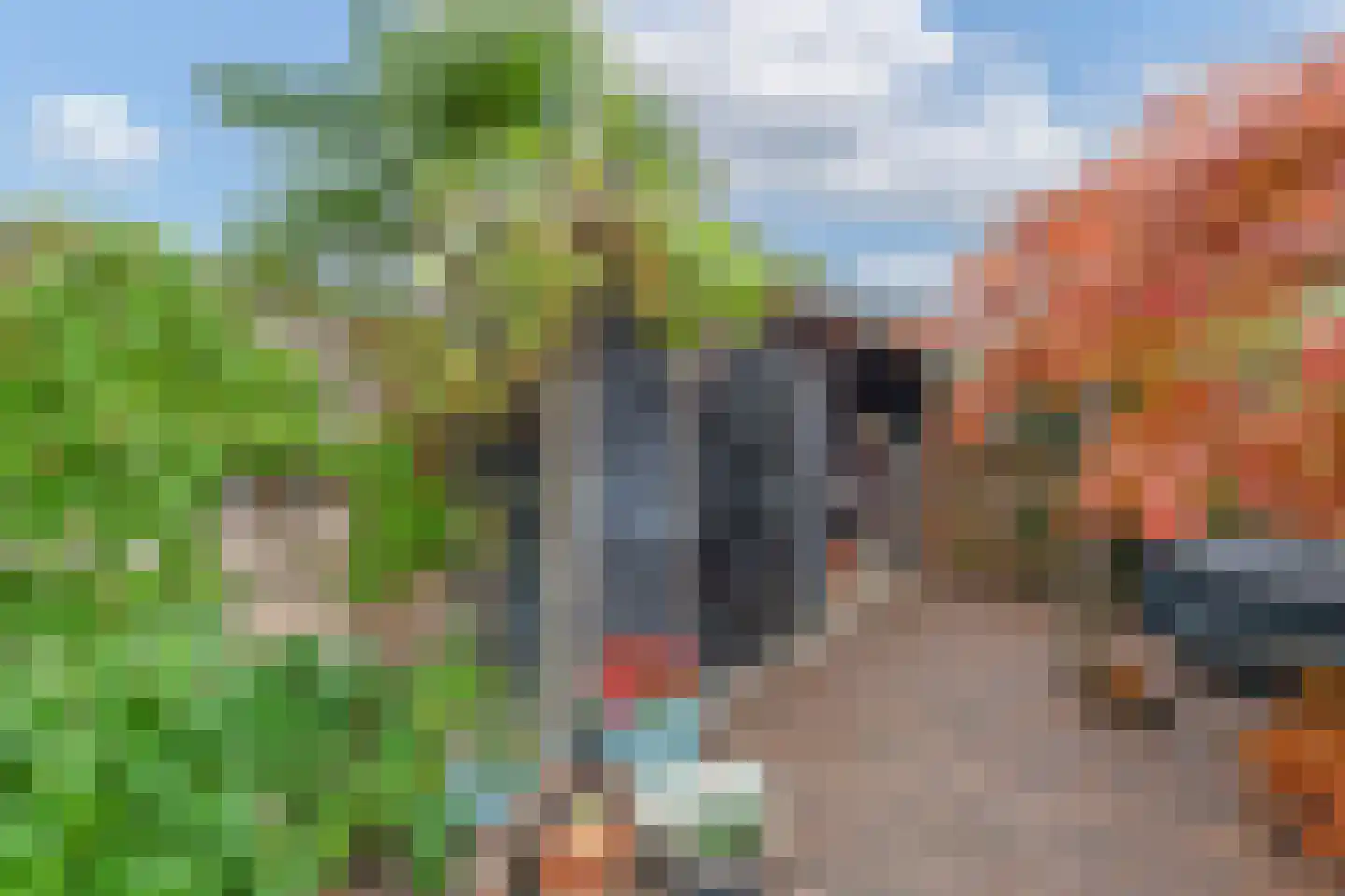 De Uitspanning 48 Blokker thumbnail 42