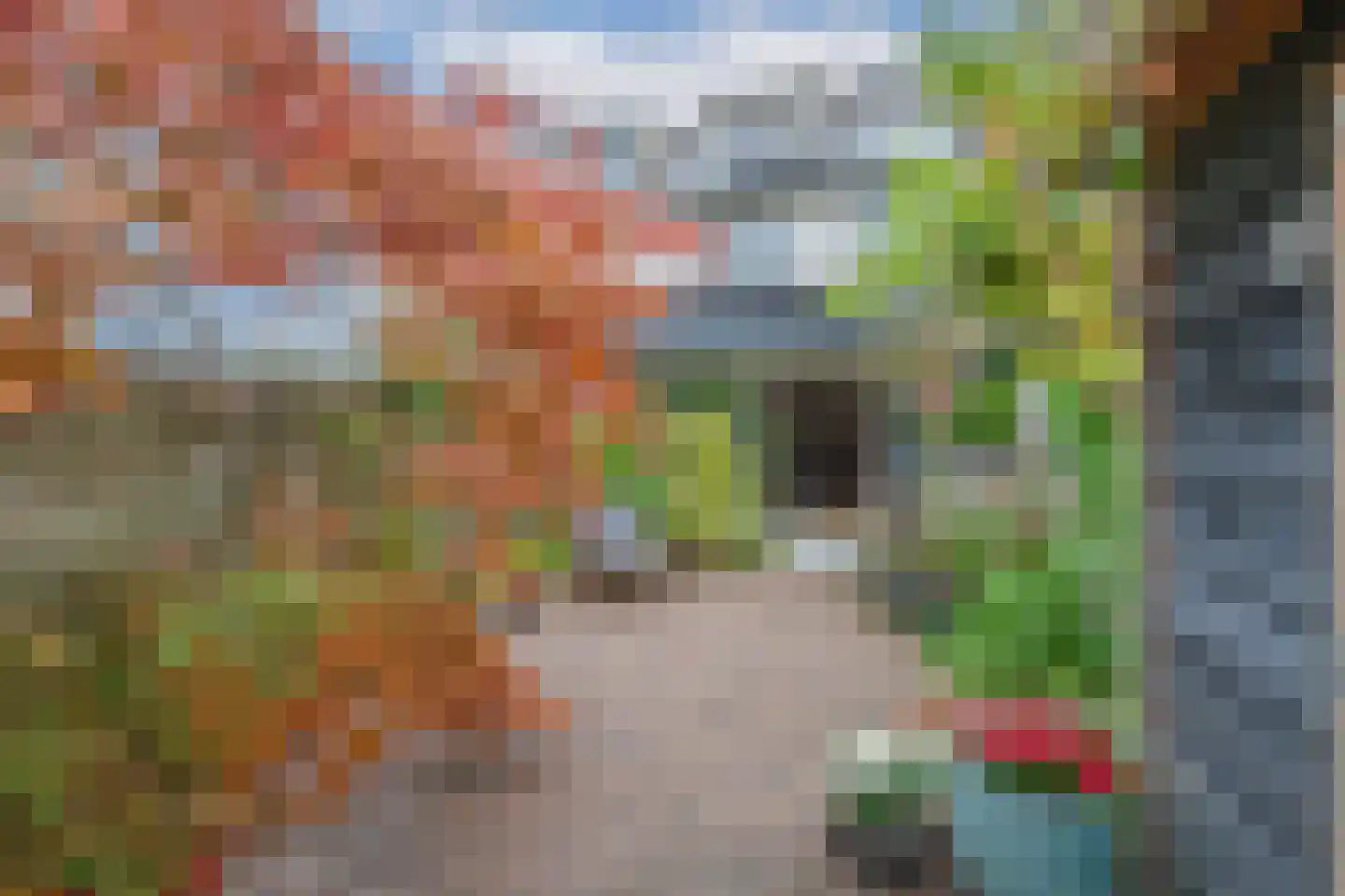 De Uitspanning 48 Blokker thumbnail 6
