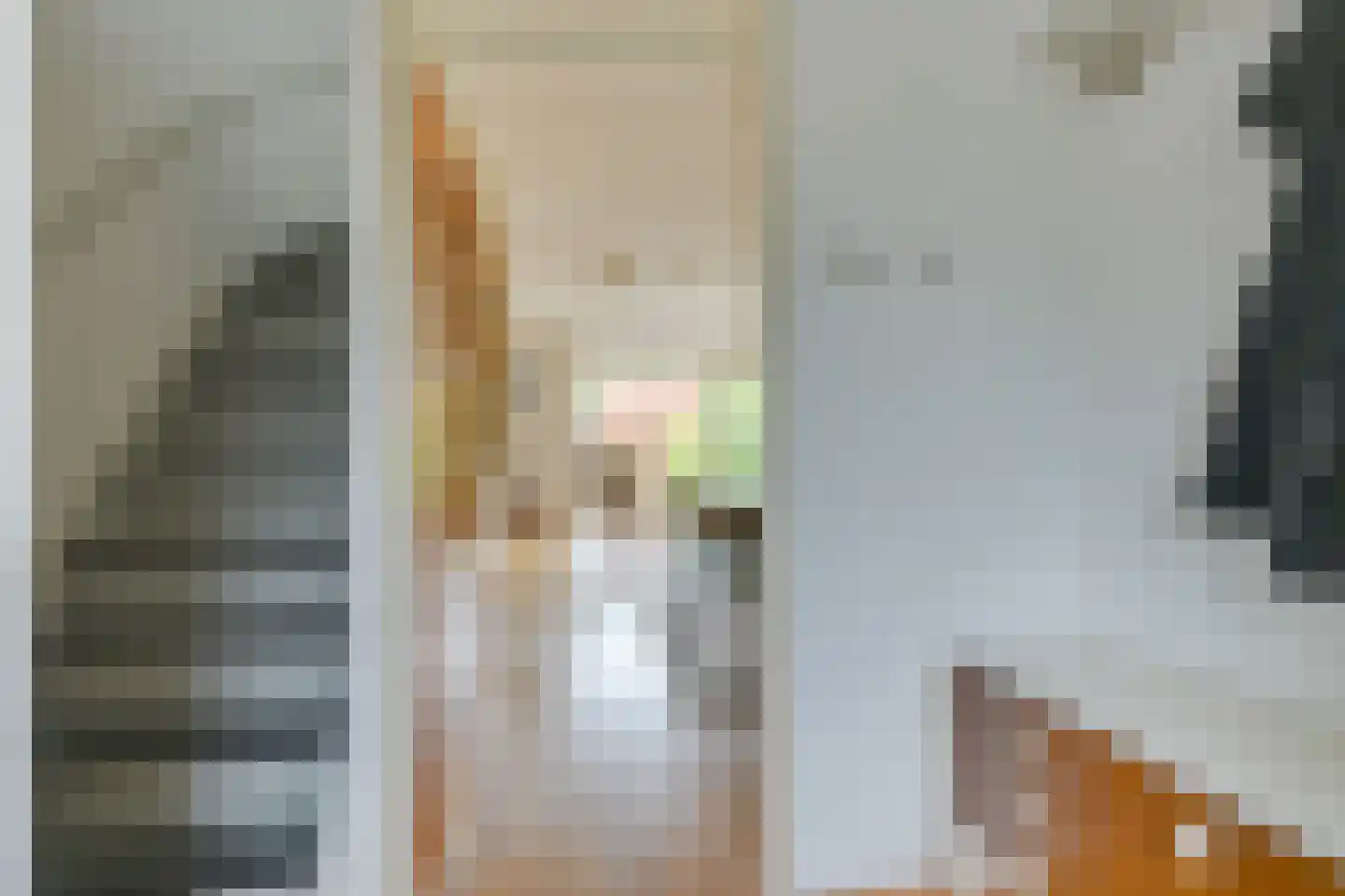 De Uitspanning 48 Blokker thumbnail 8