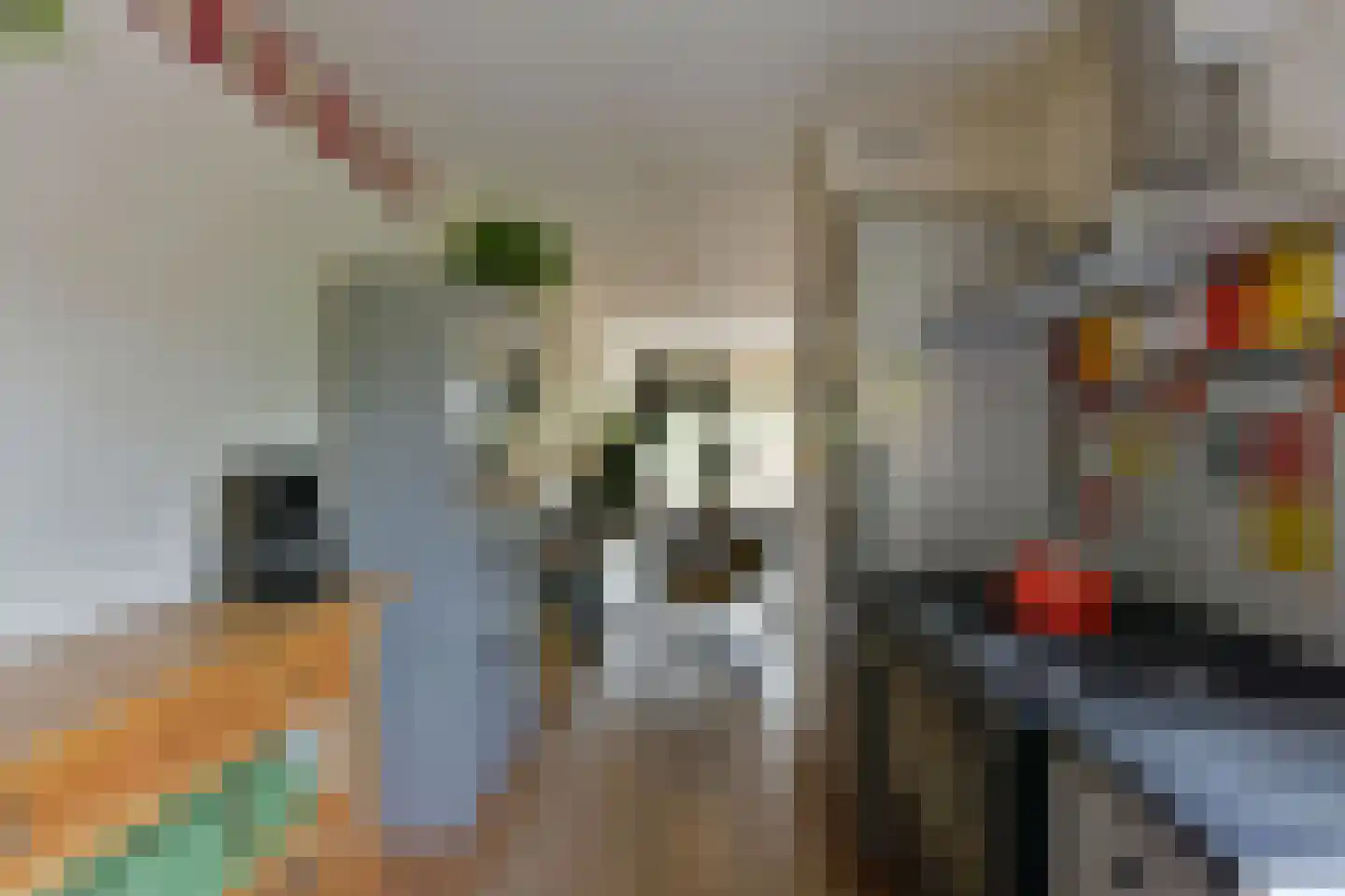 De Uitspanning 49 Blokker thumbnail 10