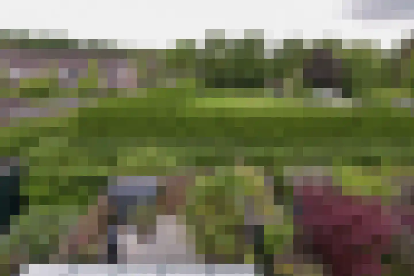 De Uitspanning 49 Blokker thumbnail 26