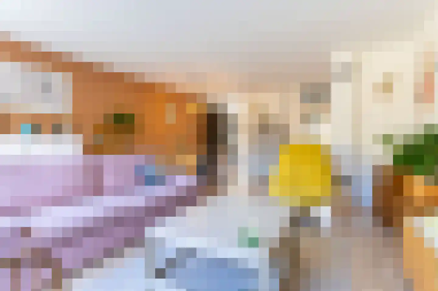 De Uitspanning 60 Blokker thumbnail 13