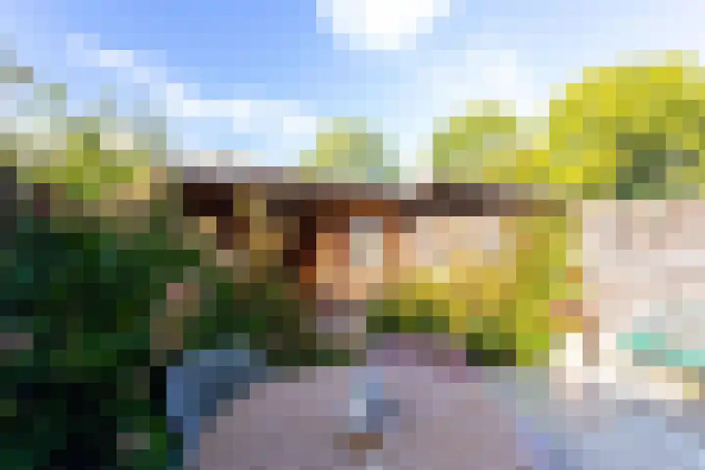 De Uitspanning 60 Blokker thumbnail 24
