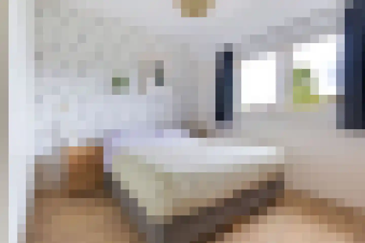 De Uitspanning 60 Blokker thumbnail 35
