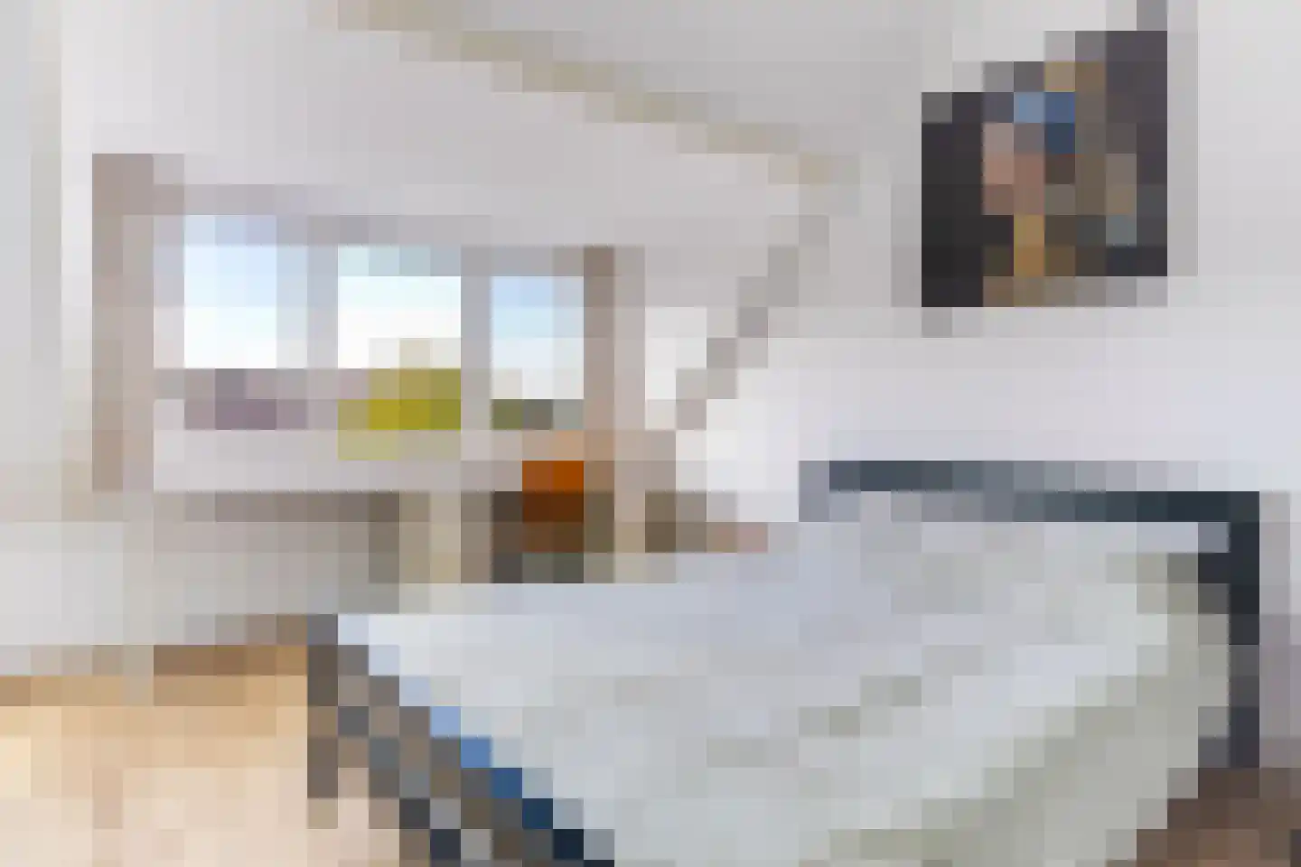 De Uitspanning 60 Blokker thumbnail 44