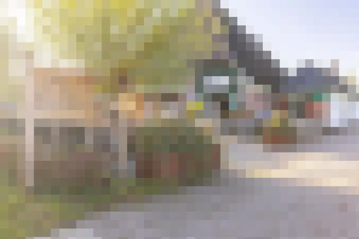 De Uitspanning 60 Blokker thumbnail 49