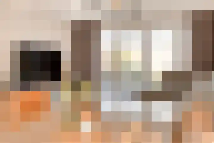 De Uitvang 12 Bergeijk thumbnail 10