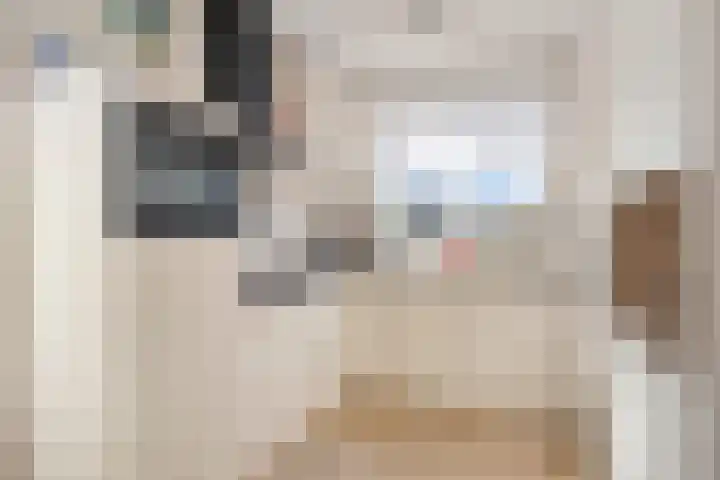 De Uitvang 12 Bergeijk thumbnail 11
